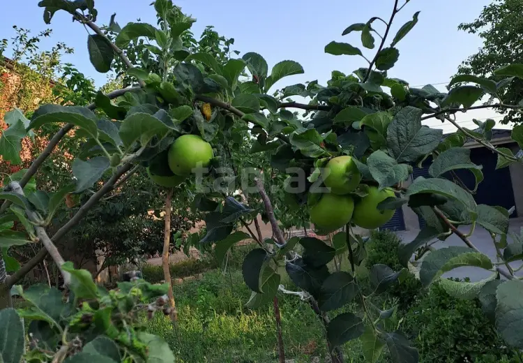 4 otaqlı mənzil , Sumqayıt