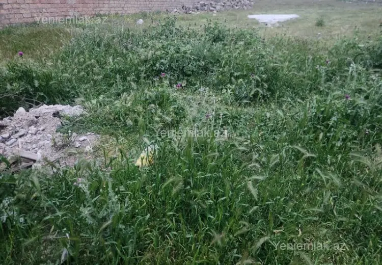 10 sot Torpaq Satılır, Novxanı, Abşeron