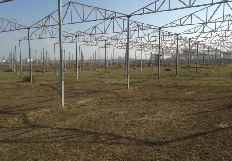 120 sot Torpaq Satılır, Novxanı, Abşeron