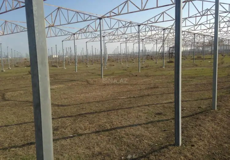 120 sot Torpaq Satılır, Novxanı, Abşeron