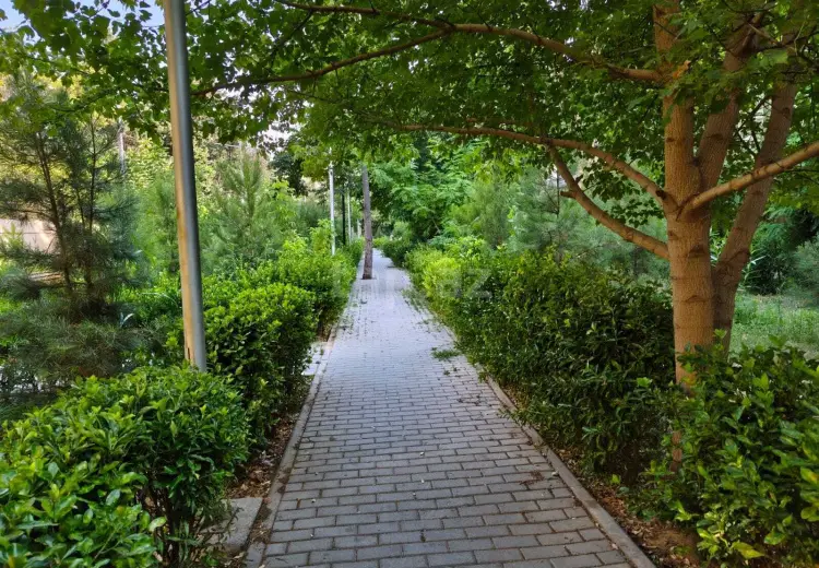 2 otaqlı mənzil , Bakı