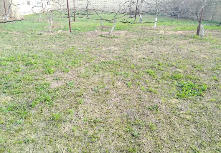0 m² Obyekt / Ofis , Buzovna, Xəzər, Bakı