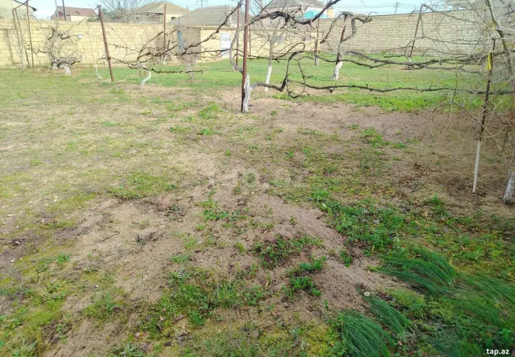 0 m² Obyekt / Ofis , Buzovna, Xəzər, Bakı