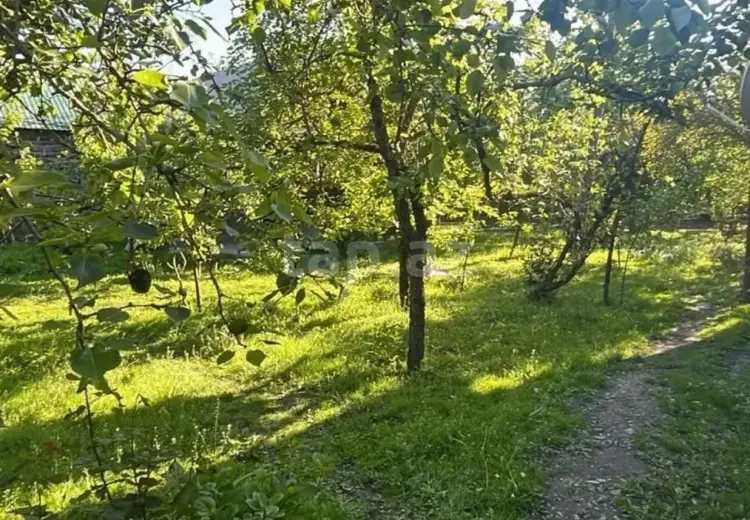 3 otaqlı mənzil , Zaqatala