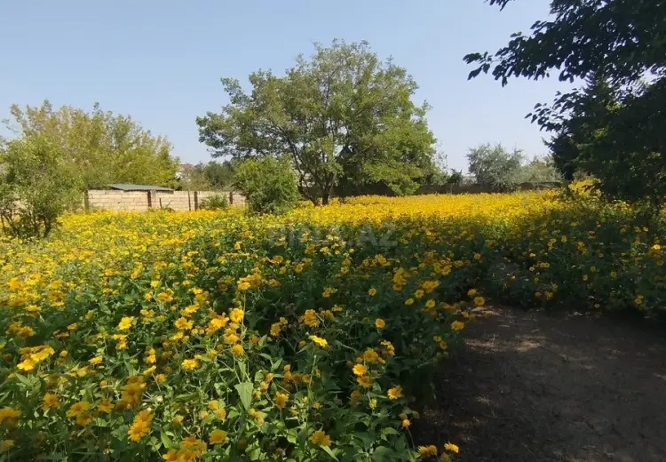 10 sot Torpaq Satılır, Novxanı, Abşeron
