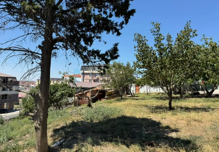 15 sot Torpaq Satılır, Masazır, Abşeron