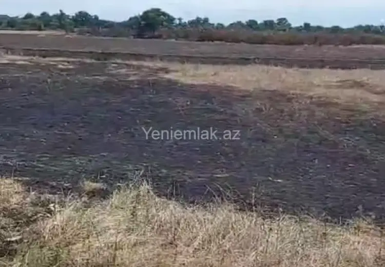 9 sot Torpaq Satılır, Xaçmaz