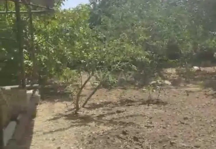 5 sot Torpaq Satılır, Saray, Abşeron