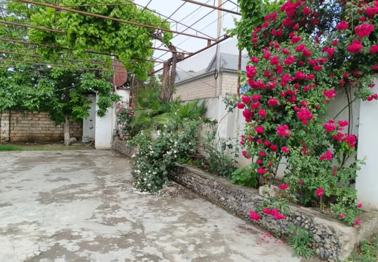 5 otaqlı mənzil , Şirvan
