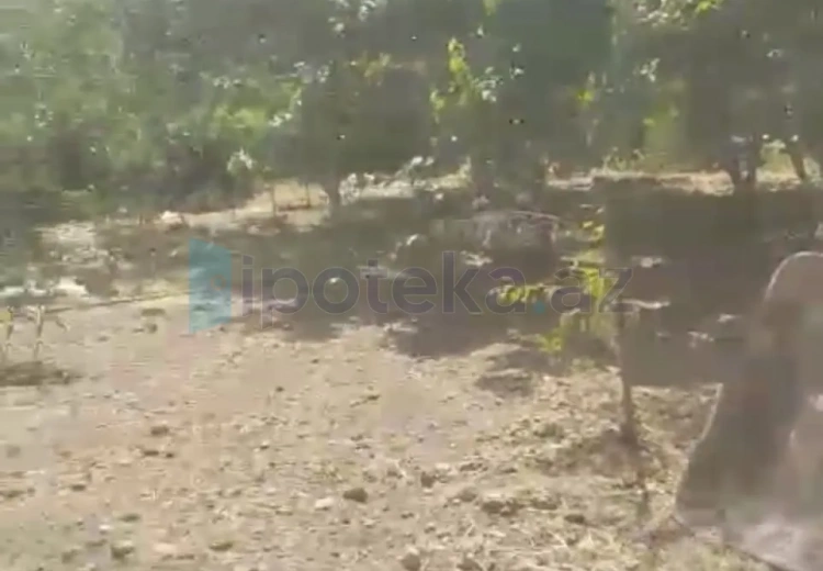 5 sot Torpaq Satılır, Saray, Abşeron