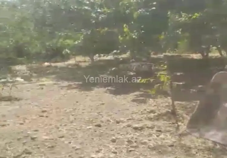 5 sot Torpaq Satılır, Masazır, Abşeron