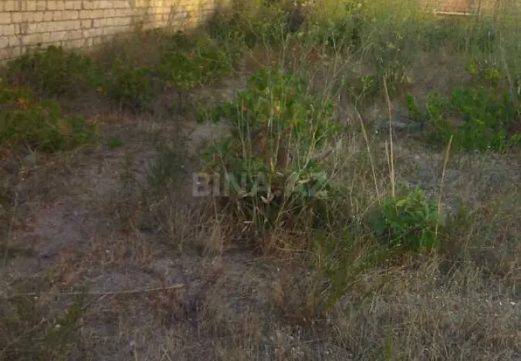 12 sot Torpaq Satılır, Novxanı, Abşeron