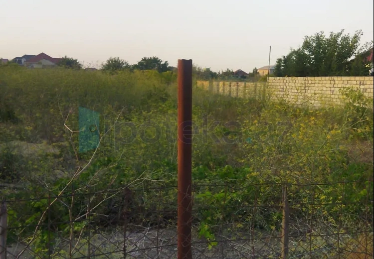 12 sot Torpaq Satılır, Novxanı, Abşeron