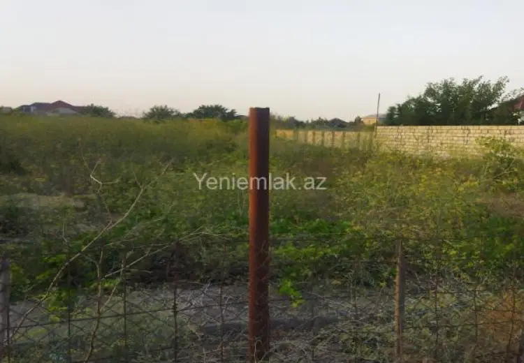 12 sot Torpaq Satılır, Novxanı, Abşeron