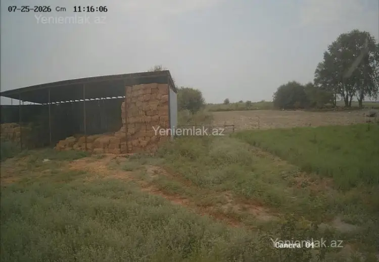 260 sot Torpaq Satılır, Göyçay