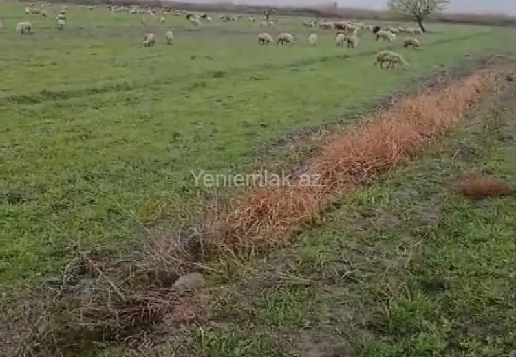 260 sot Torpaq Satılır, Göyçay