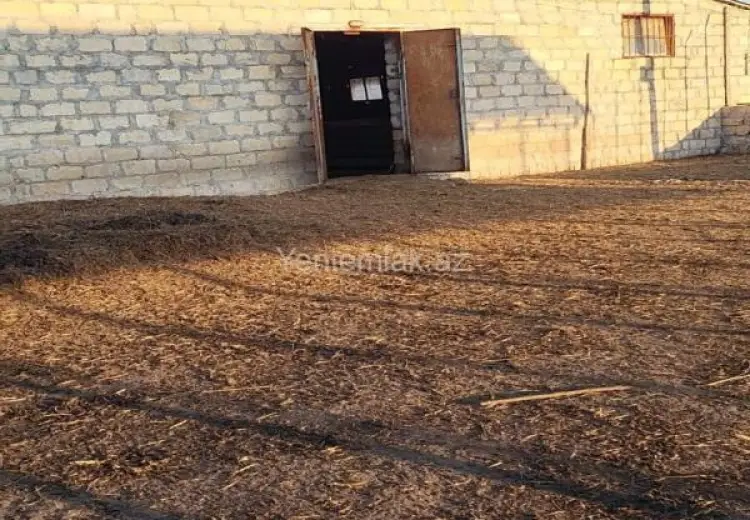 260 sot Torpaq Satılır, Göyçay
