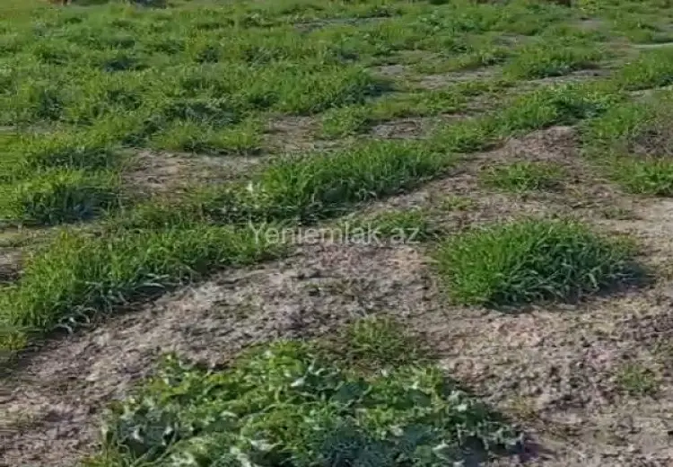 260 sot Torpaq Satılır, Göyçay