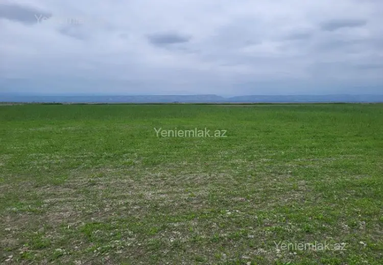 260 sot Torpaq Satılır, Göyçay