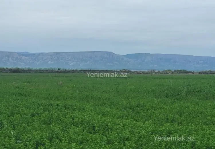 260 sot Torpaq Satılır, Göyçay