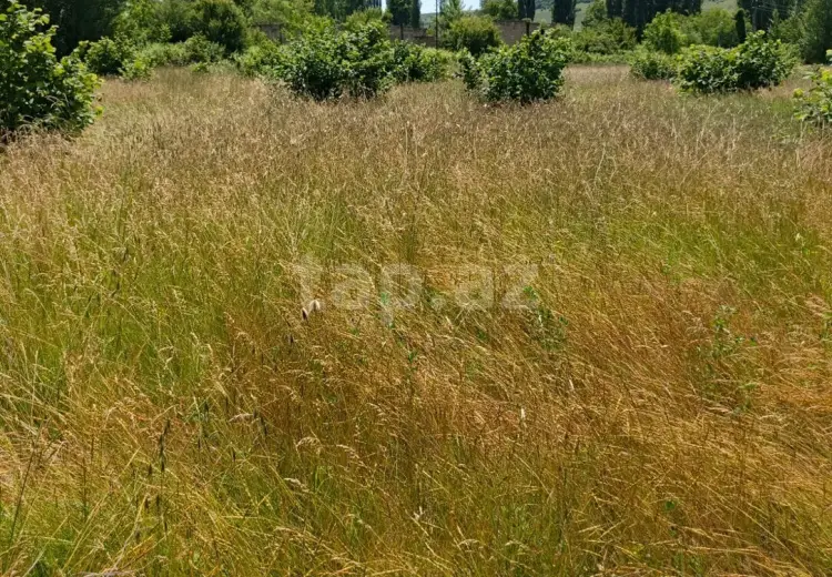 0 m² Obyekt / Ofis , İsmayıllı