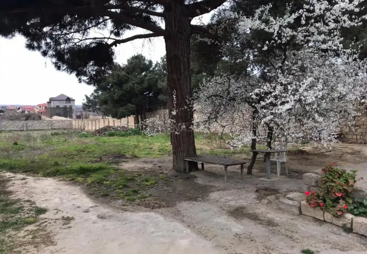 24 sot Torpaq Satılır, Bilgəh qəs., Sabunçu, Bakı