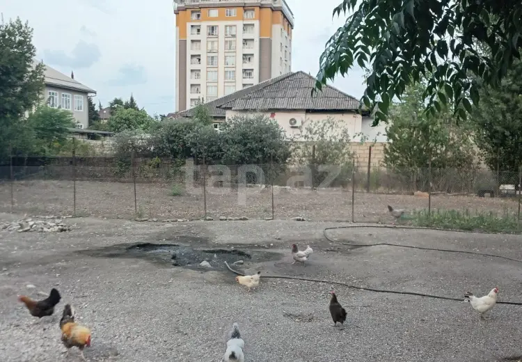 0 m² Obyekt / Ofis , Astara