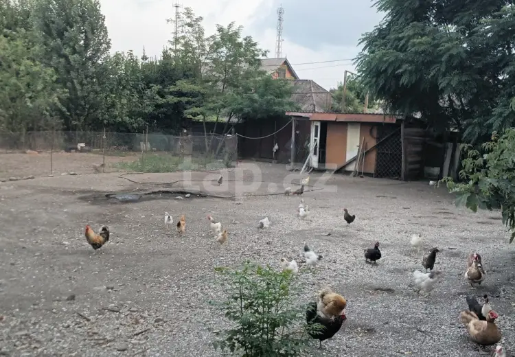 0 m² Obyekt / Ofis , Astara