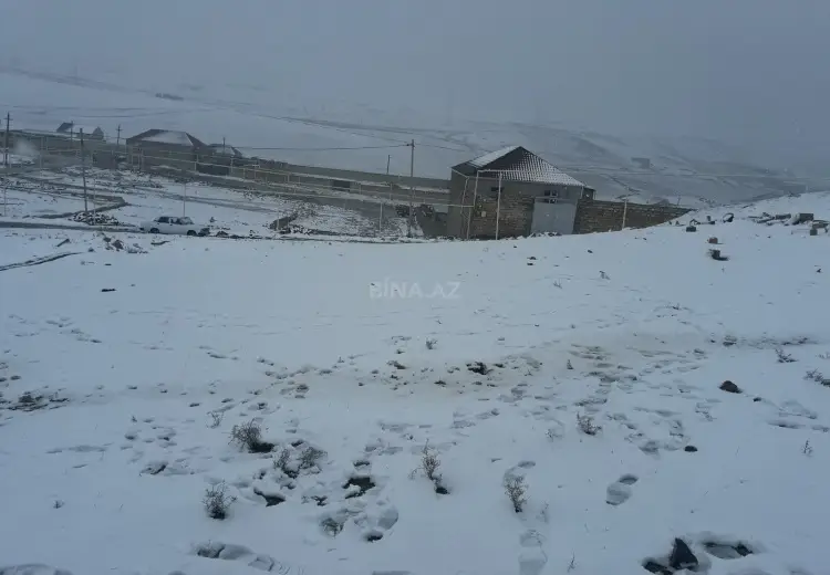 8 sot Torpaq Satılır, Qobu, Abşeron