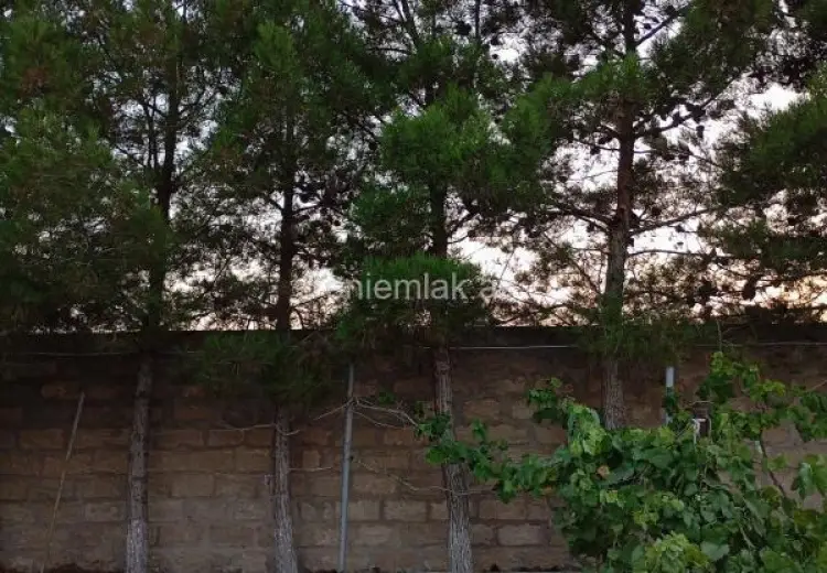 2 otaqlı mənzil Kirayə (günlük), Albalı qəs., Sabunçu, Bakı