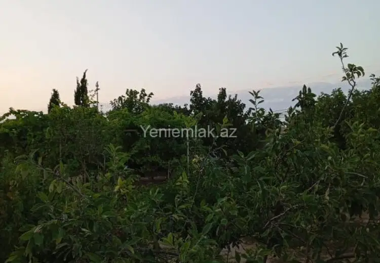 2 otaqlı mənzil Kirayə (günlük), Albalı qəs., Sabunçu, Bakı