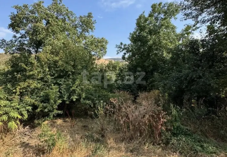 5 otaqlı mənzil , Göygöl