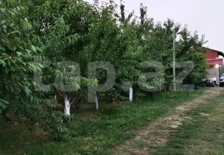 0 m² Obyekt / Ofis , Xaçmaz