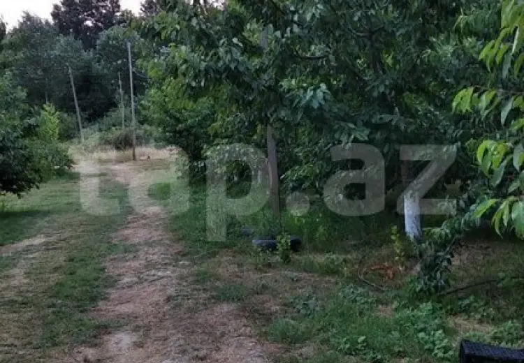 0 m² Obyekt / Ofis , Xaçmaz
