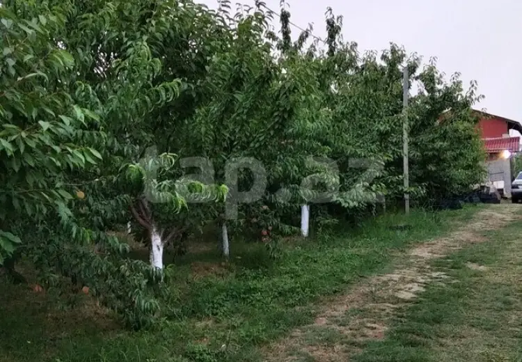 0 m² Obyekt / Ofis , Xaçmaz