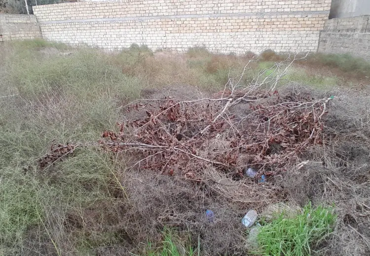4 sot Torpaq Satılır, Badamdar qəs., Səbail, Bakı