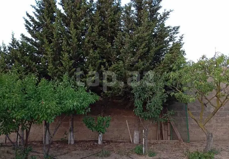 2 otaqlı mənzil Kirayə (günlük), Sabunçu, Bakı