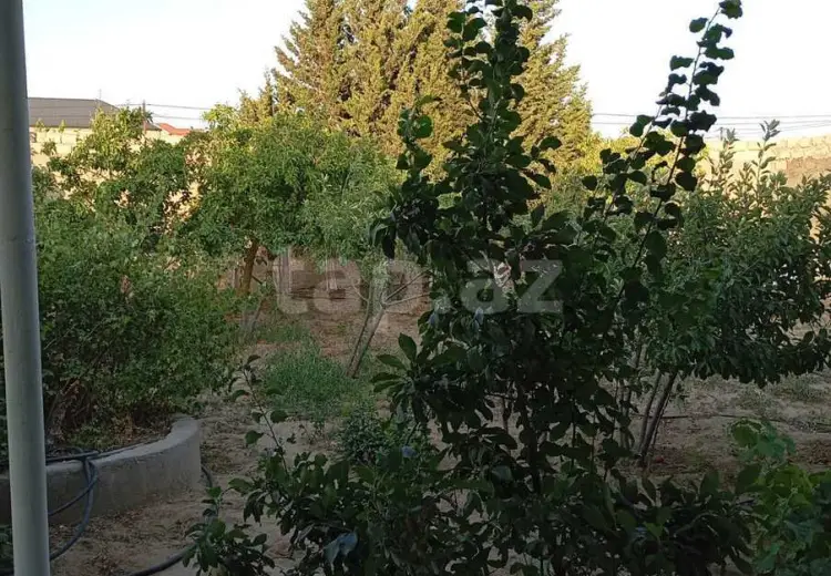 2 otaqlı mənzil Kirayə (günlük), Sabunçu, Bakı