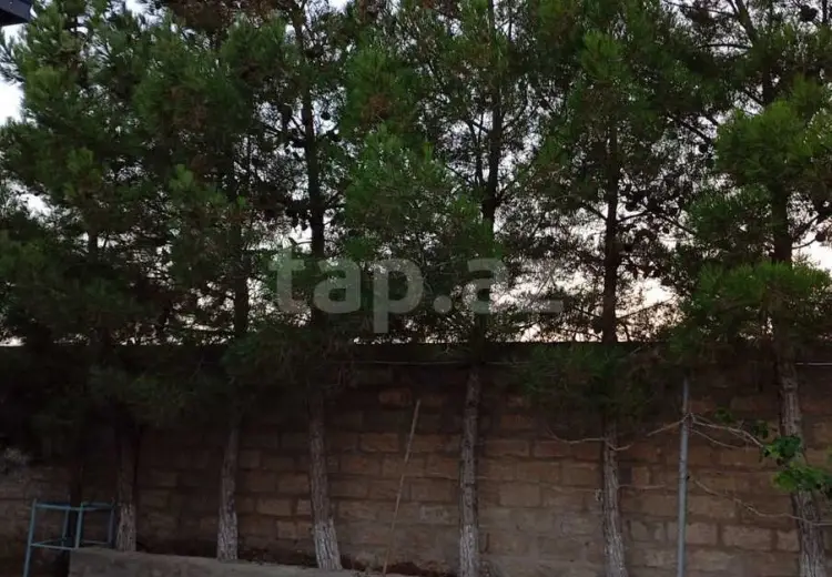 2 otaqlı mənzil Kirayə (günlük), Sabunçu, Bakı