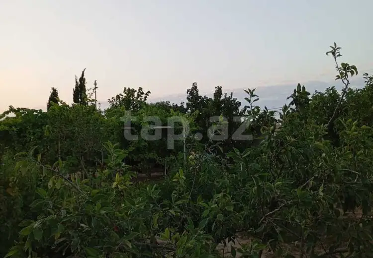 2 otaqlı mənzil Kirayə (günlük), Sabunçu, Bakı
