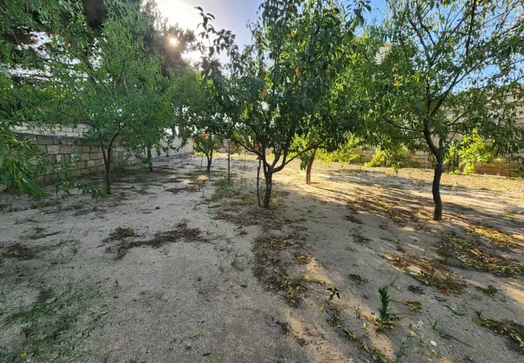 6 sot Torpaq Satılır, Bilgəh qəs., Sabunçu, Bakı