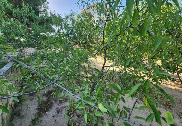 6 sot Torpaq Satılır, Bilgəh qəs., Sabunçu, Bakı