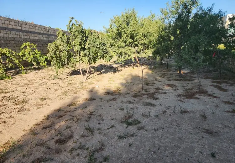 6 sot Torpaq Satılır, Bilgəh qəs., Sabunçu, Bakı