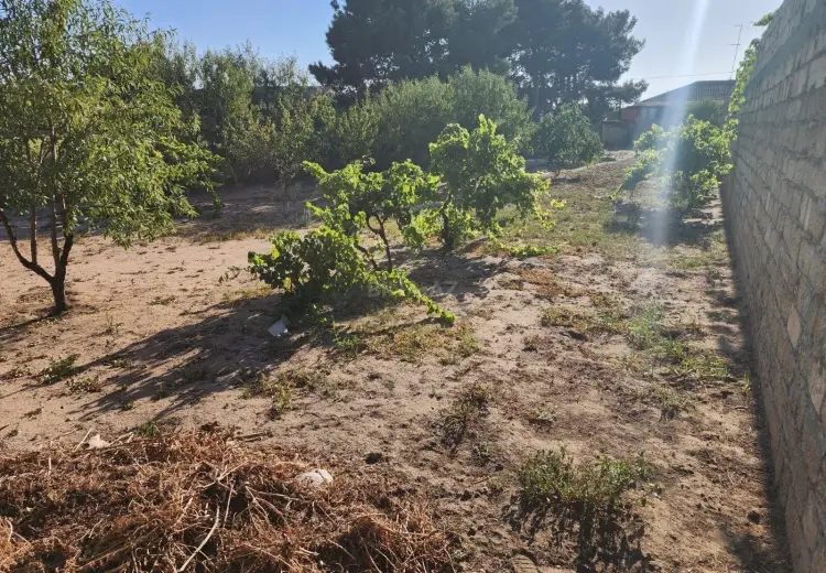 6 sot Torpaq Satılır, Bilgəh qəs., Sabunçu, Bakı