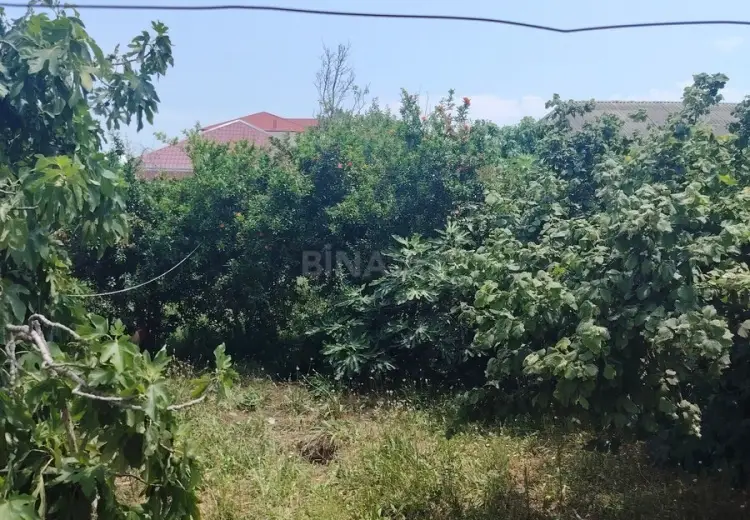 5 sot Torpaq Satılır, Mehdiabad, Abşeron