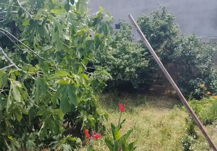 5 sot Torpaq Satılır, Mehdiabad, Abşeron