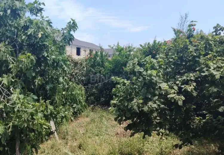 5 sot Torpaq Satılır, Mehdiabad, Abşeron