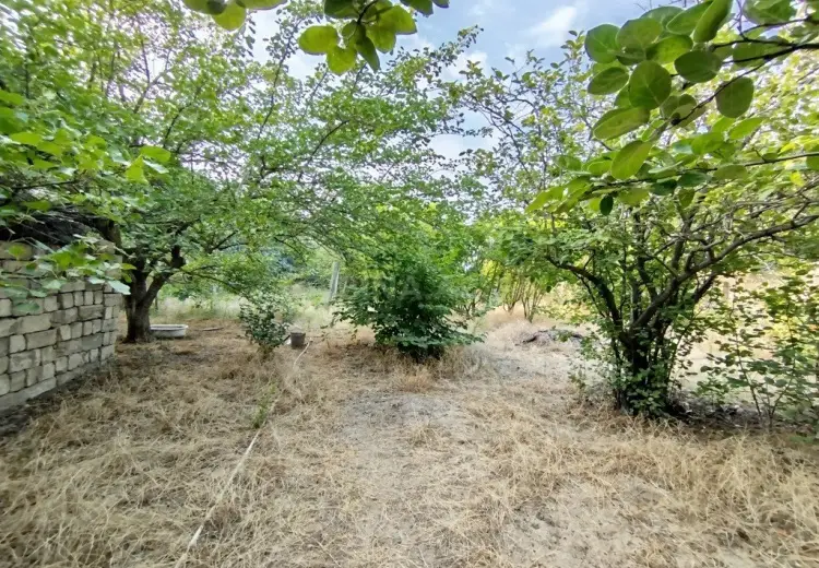 10 sot Torpaq Satılır, Novxanı, Abşeron