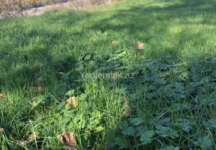 30 sot Torpaq Satılır, Qəbələ
