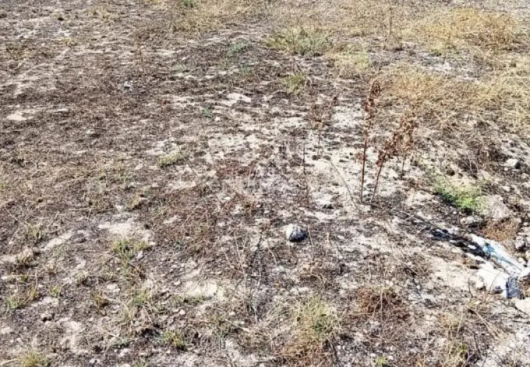 5 sot Torpaq Satılır, Qala, Xəzər, Bakı
